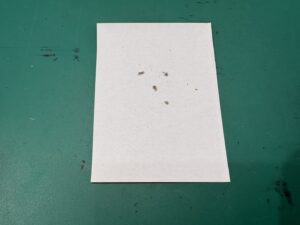 iPhone修理なら【モバイル修理 救急便】へ